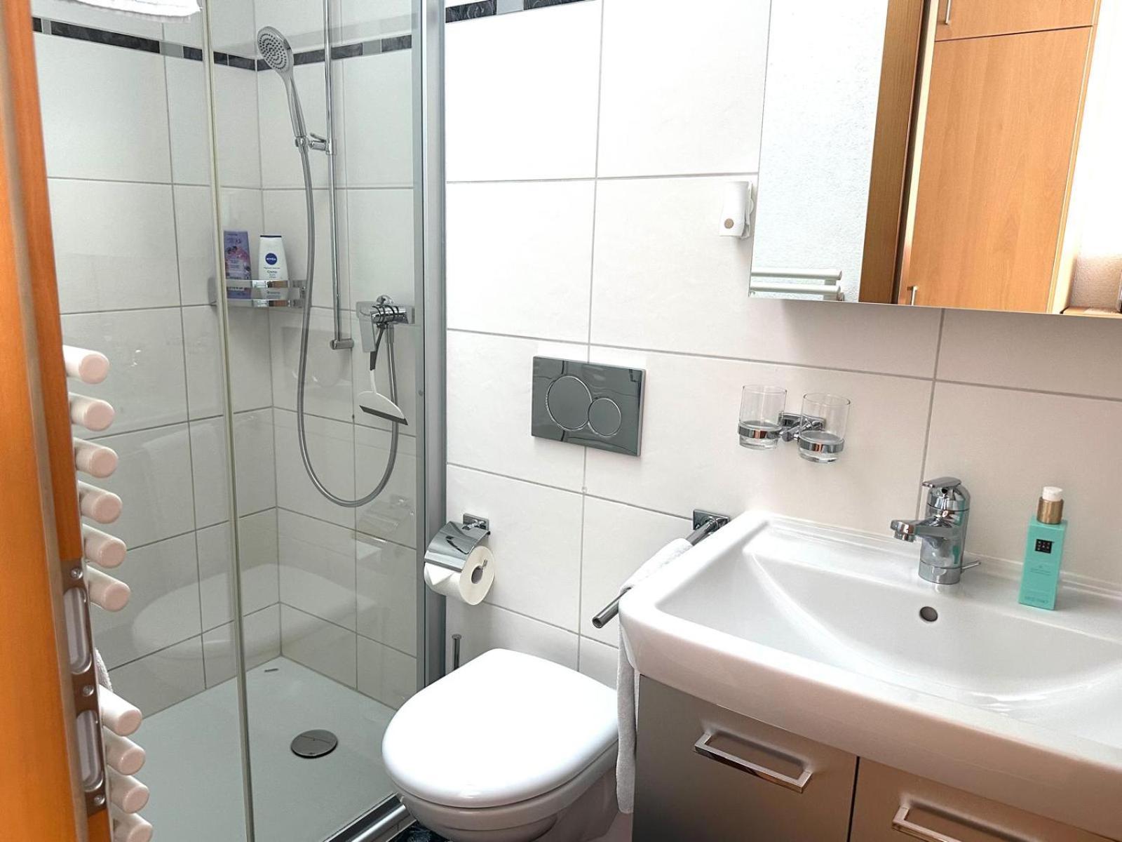 ツェルマットHaus Sonnmattアパートメント 部屋 写真